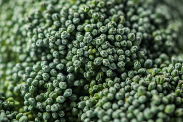 istock Close-up shot of broccoli cabbage florets 931831624