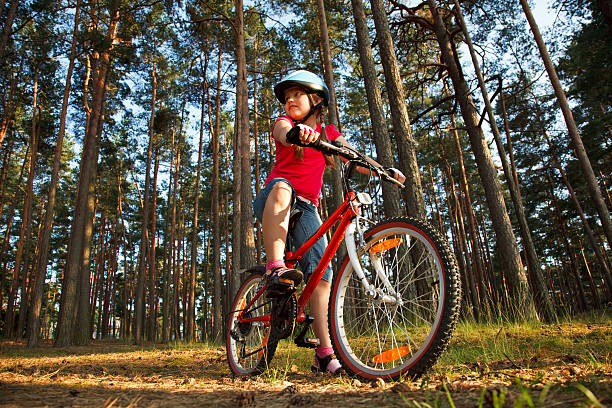 Little girl with bicycle in the forest stock photo