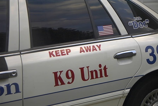 Close to a K-9 Police Car
