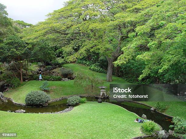 Foto de Floresta De Conto De Fadas e mais fotos de stock de Big Island - Ilhas do Havaí - Big Island - Ilhas do Havaí, Canteiro de Flores, Conto de Fadas