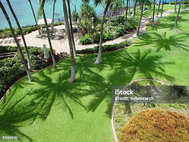 Hawaiian Resort De Foto de stock y más banco de imágenes de Aire libre - Aire libre, Color - Tipo de imagen, Fotografía - Imágenes