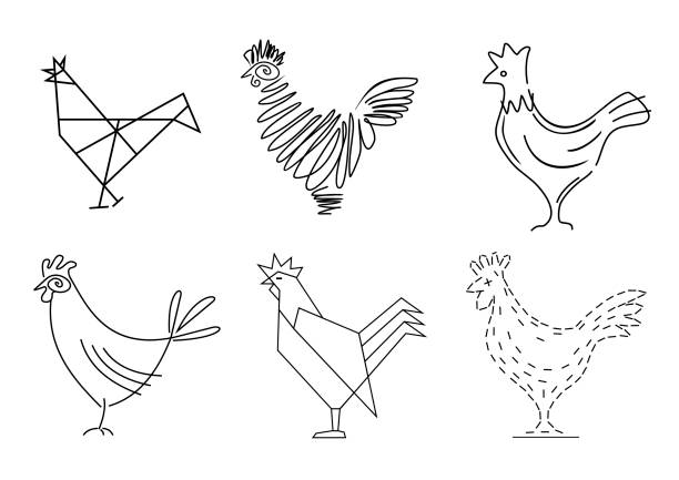 ilustrações de stock, clip art, desenhos animados e ícones de set of sketches of birds roosters - poultry shears