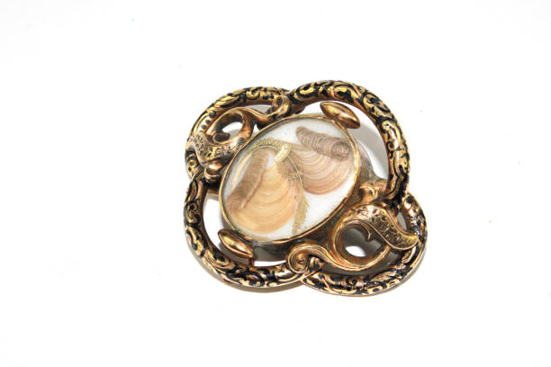 colección de la joyería de luto antiguo vintage broche sobre fondo blanco - brooch jewelry antique gem fotografías e imágenes de stock