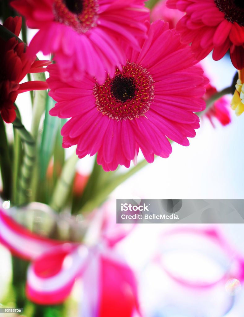 Vaso de flores brancas e cor-de-rosa para um casamento - Foto de stock de Bouquet royalty-free