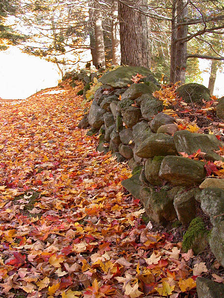 istock Rock Fence in Autumn 93183738