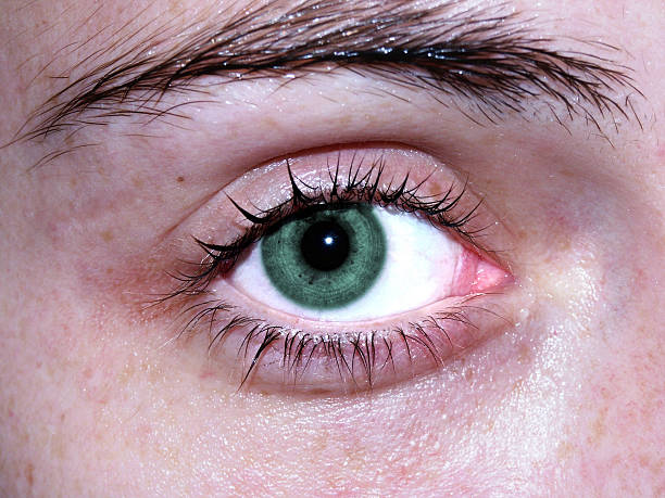 a girl's eye stock photo