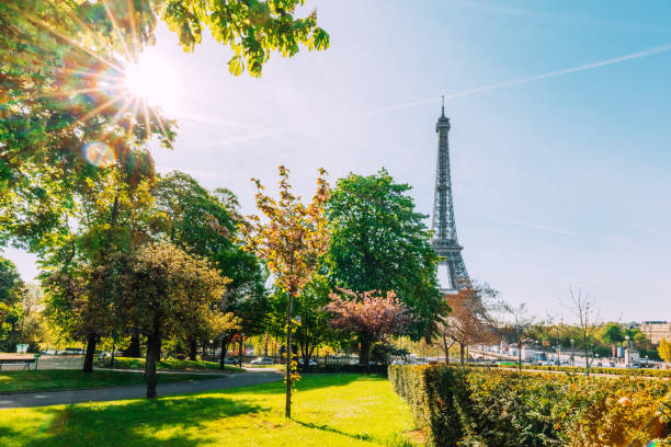 istock Eiffel tower in Springtime, Paris, France 931839710