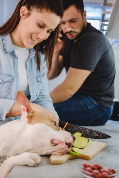 istock Girl is laughing while dog is stealing apple 931841102