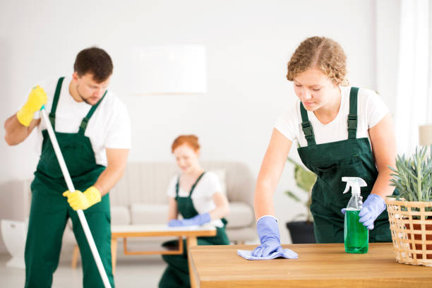 istock Team cleaning living room 931846516