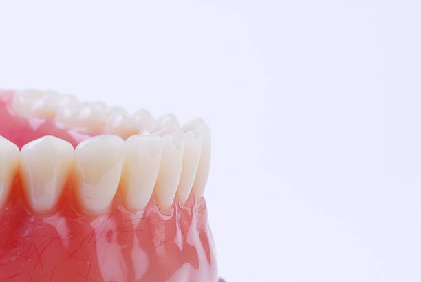 歯 5 - inscisor ストックフォトと画像
