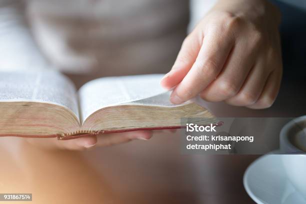 Women Reading The Holy Bible Stock Photo - Download Image Now - Bible, Reading, Hand