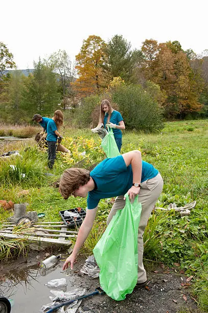 volunteer to clean lakeside, high school volunteers, green up day