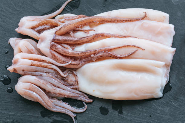 Raw squid close up stock photo