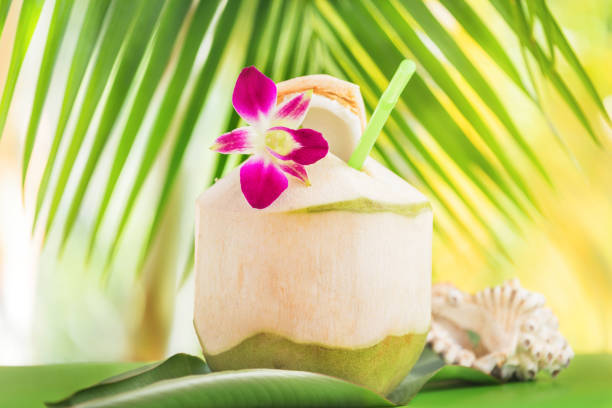hand is holding a coconut cocktail. collage minimalism. rest at the resort