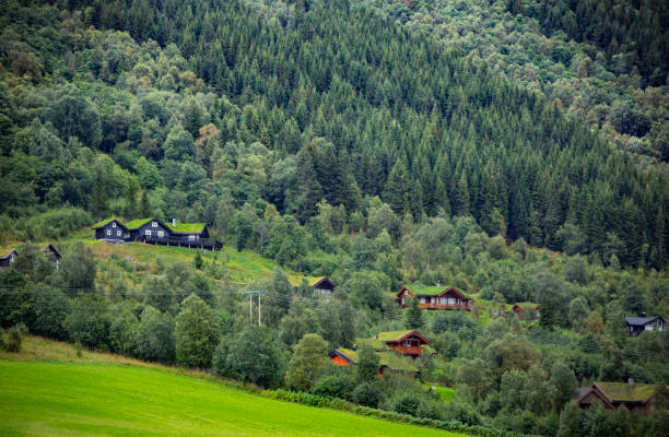 istock old houses with a grassy rooftop 931895276