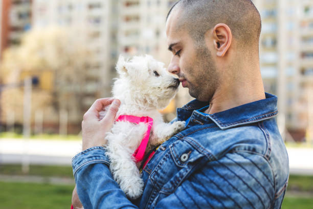 istock Man kisses his puppy 931909934