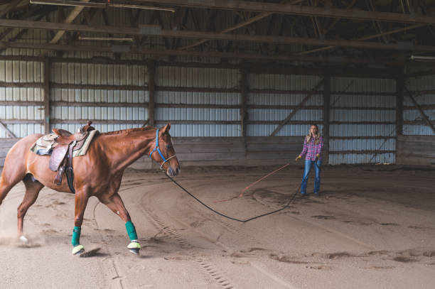 istock A Woman and Her Horse 931918022