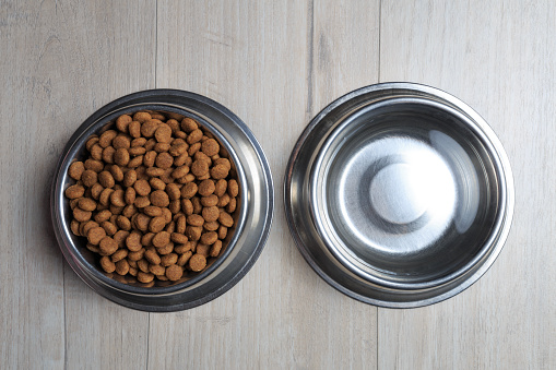 Bowls with dog food and water from above. Dog feed theme.