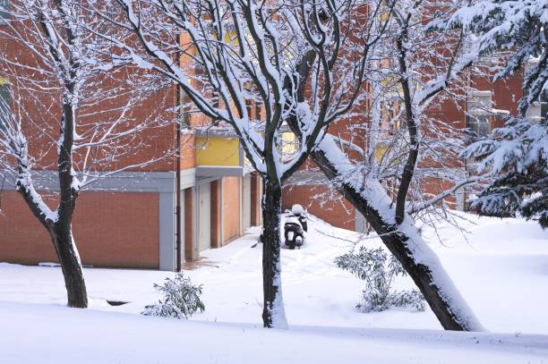 istock Snowy trees in the garden (Pesaro, Italy) 931933604
