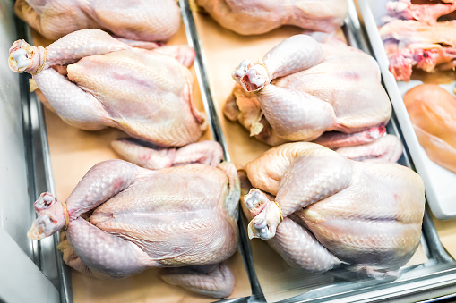 Raw whole chickens tied with string in butcher shop grocery store many uncooked skin closeup showing texture detail