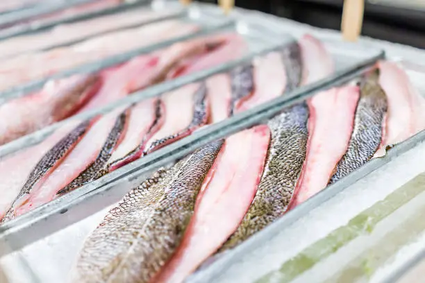 Closeup of many fresh sole fish fillets pink meat raw scales skin in seafood market shop display tray