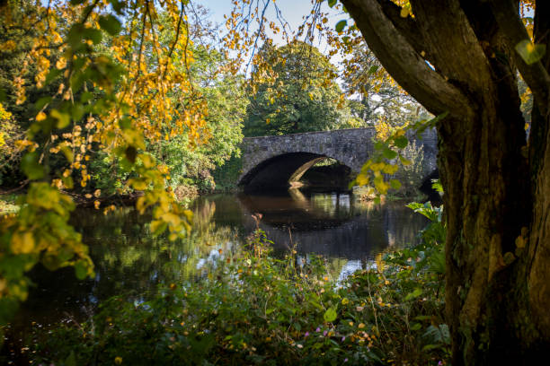 istock Autumn Arrives in England's Countryside 931945116