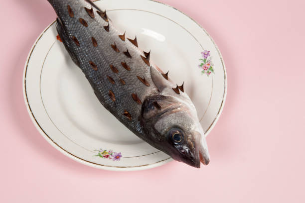 istock fish pink plate rosebush thorns 931947508