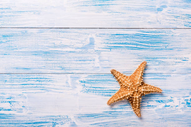 istock Starfish on blue wooden background 931948326