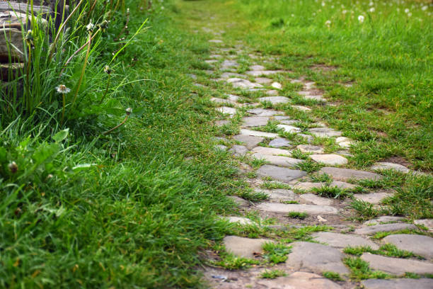 Cobblestone road on the edge of the Dutch town of Oosterhout in the province of North Brabant.The road is little used and therefore fresh green grass grows between the cobblestones.
