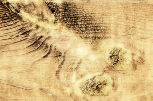 istock Texture of old wood 931952282