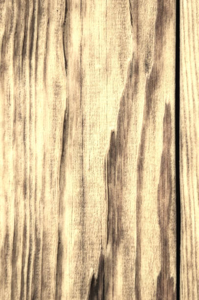 istock Texture of old wood 931956884