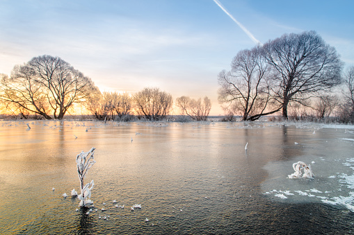 beautiful sunrise over the frozen, ice covered, grass field, snow and cold wintry morning