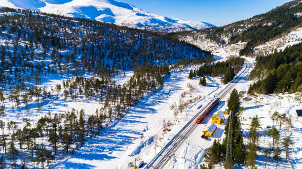 istock Train Oslo - Bergen in mountains. Hordaland, Norway. 931963280