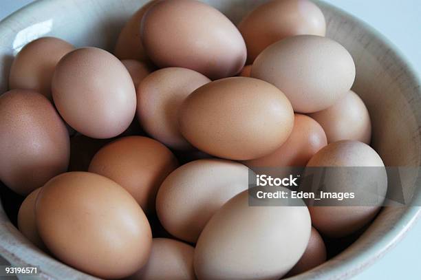 All Your Eggs In One Basket Stock Photo - Download Image Now - Agriculture, Animal Egg, Bowl