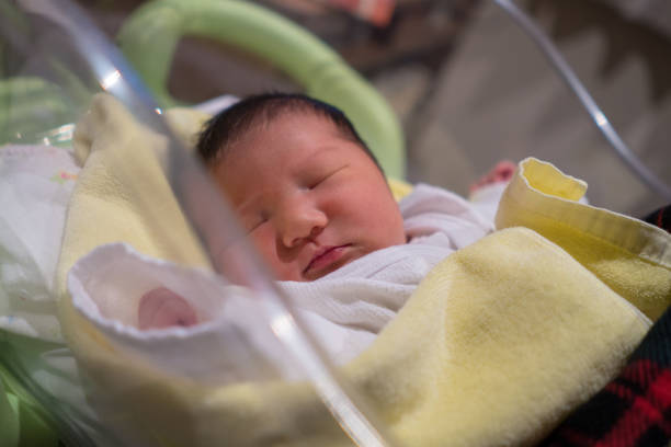 istock Baby sleep in incubator 931971952