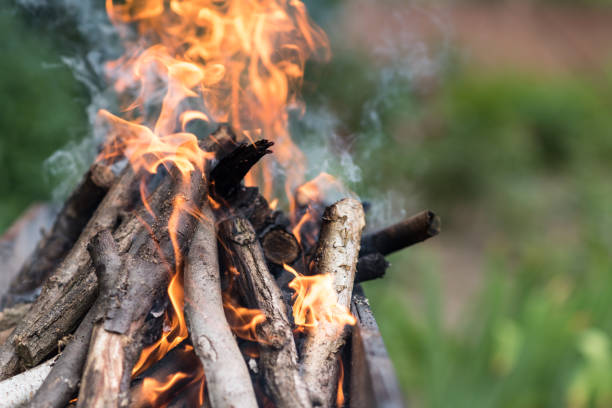istock Fire burns on the grill, preparation for frying meat 931972022