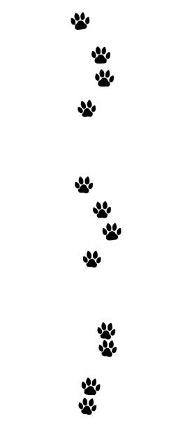 istock Cat tracks. Typical footprints of a domestic cat - isolated black icon vector illustration on white background. 931979440