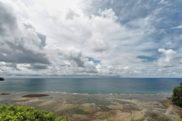SW-wards view from Negros South rd.passing through Cauayan municipality-Philippines. 0288 SW-wards view to Danjugan Island Marine Reserve over the coastal coral reef from a lookout on the Negros South road passing through Cauayan municipality. Negros Occidental-Western Visayas-Philippines. coralline red algae photos stock pictures, royalty-free photos & images