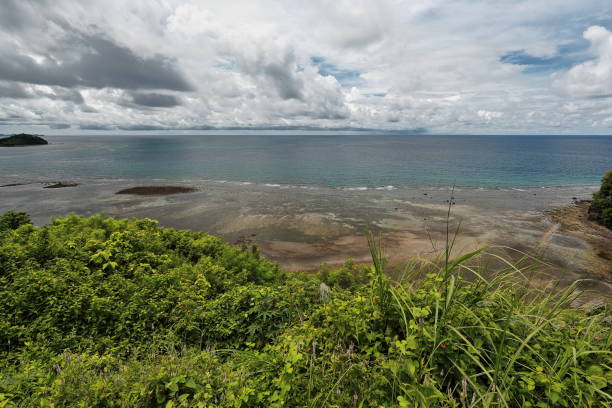 SW-wards view from Negros South rd.passing through Cauayan municipality-Philippines. 0287 SW-wards view to Danjugan Island Marine Reserve over the coastal coral reef from a lookout on the Negros South road passing through Cauayan municipality. Negros Occidental-Western Visayas-Philippines. coralline red algae photos stock pictures, royalty-free photos & images