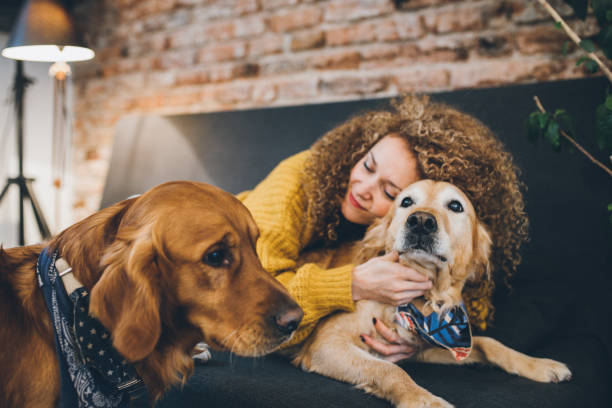istock Woman playing with her dogs 931981964
