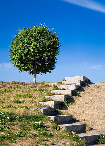 istock Stairways to the sky 93198877