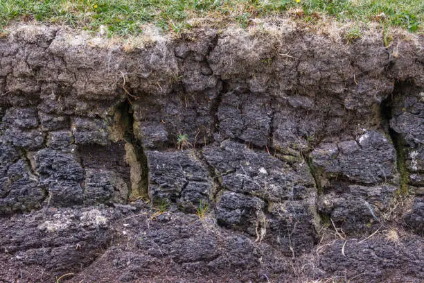 Inverasdale, Scotland - June 9, 2012: Closeup of cracked black peat wall under grass at digging site.