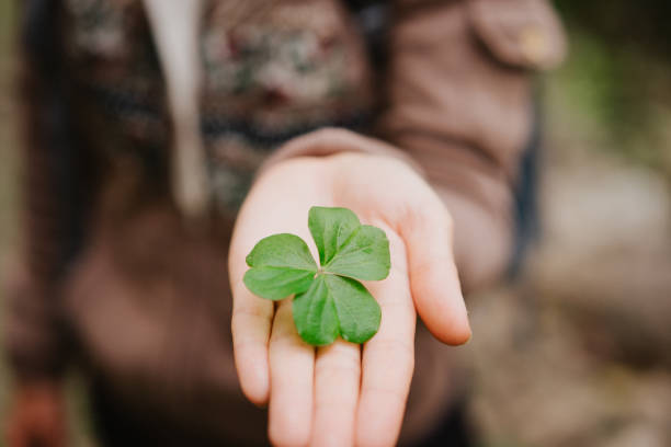 istock Hand over one clover leave on stretched female hand palm 932007764