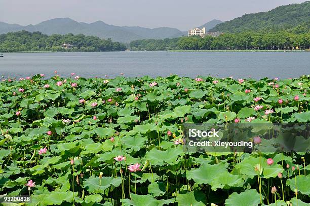 서 호 0명에 대한 스톡 사진 및 기타 이미지 - 0명, West Lake - Hangzhou, 고요한 장면