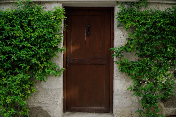 istock Vintage old door with green leaves 932013096