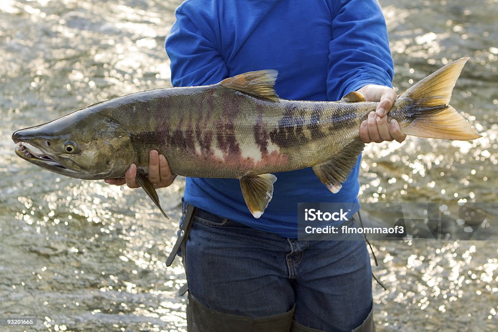 Junge holding Ketalachs - Lizenzfrei Fischen Stock-Foto