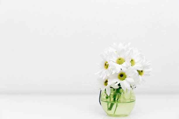 istock White spring flowers in vase. Minimal white background 932022518