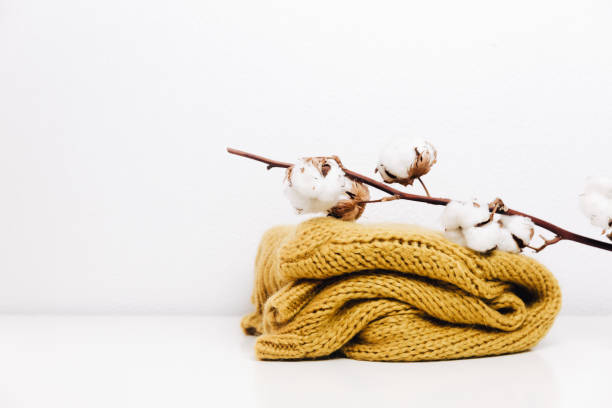 istock Cotton with warm sweater. Hipster minimal background. Still life creative composition 932025706