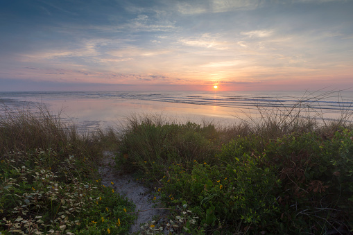 A curved path cuts through the grasses to the beach at sunrise.