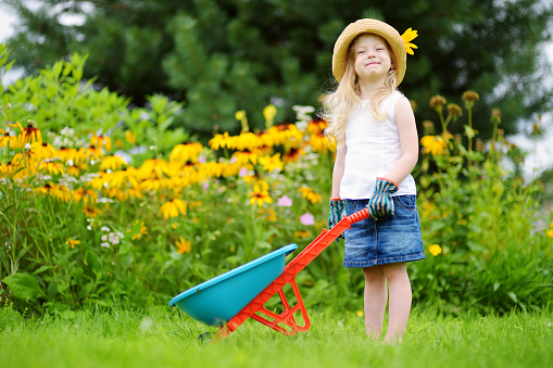 Adorable little girl in straw hat having fun with a toy wheelbarrow. Cute child playing farm outdoors on summer day.